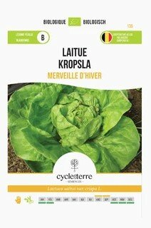 Sla zaden kopen, Wintersla winter lettuce merveillge d'hiver | Moestuinland