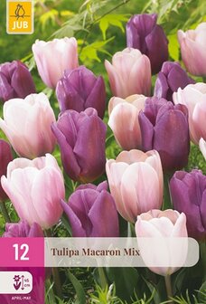 Tulpen bloembollen, Macaron mix (Paars/roze) | Moestuinland