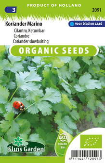 Zaden voor biologische koriander Marino - Moestuinland