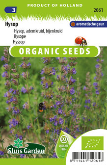 Hysop zaden kopen biologisch | Bijenkruid, ademkruid, hysop | Moestuinland