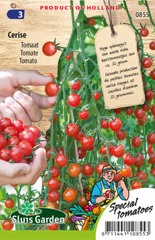 Kerstomaatjes zaden kopen, Cerise tomaat | Moestuinland