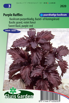 Basilicum zaden kopen, Purple Ruffles | Moestuinland