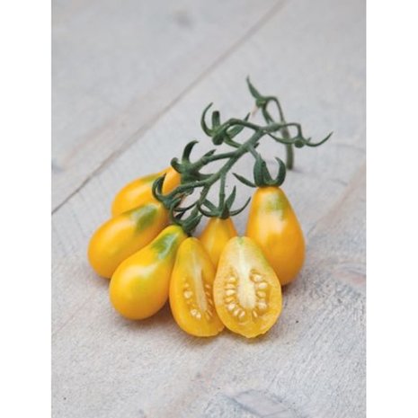 gele peervormige tomaatjes bij moestuinland