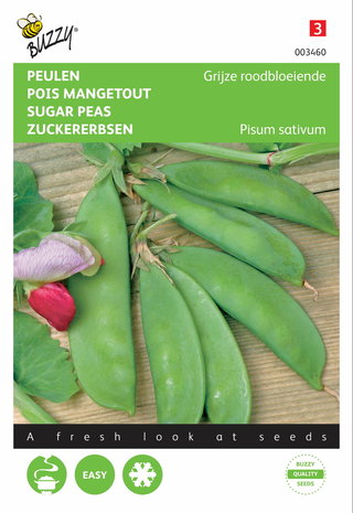Peulen zaden kopen, Grijze Roodbloeiende | Moestuinland