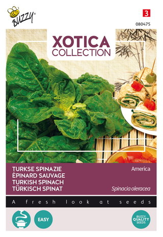 Turkse spinazie zaden kopen, Xotica | Moestuinland