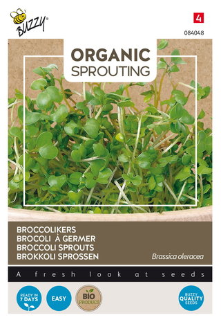 Broccolikers Zaden Kopen, Organic Sprouting | Moestuinland
