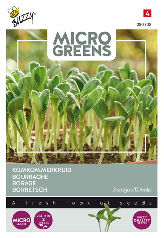 Komkommerkruid zaden kopen, micro greens (Borage) | Moestuinland