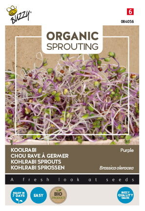 Koolrabi als spruitgroente kopen | Organic Sprouting