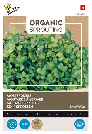 Mosterdkers zaden kopen, Organic Sprouting | Moestuinland