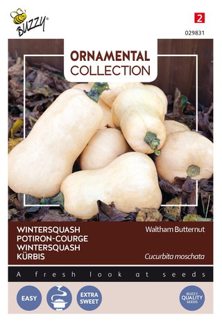 Wintersquash zaden kopen, kalebas waltham butternut flespompoem wit | Moestuinland