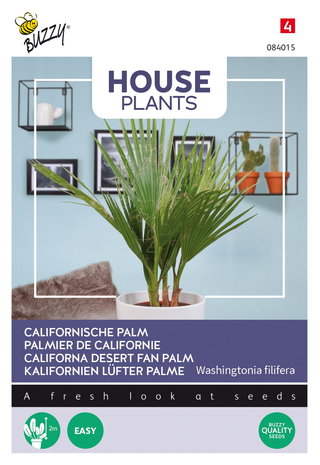 Californische palm zaden kopen, Washingtonia filifera | Moestuinland