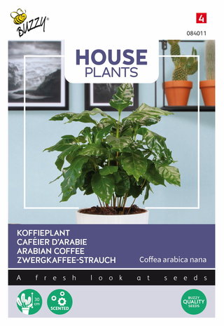 Koffieplant zaden kopen, Coffea Arabica nana | Moestuinland