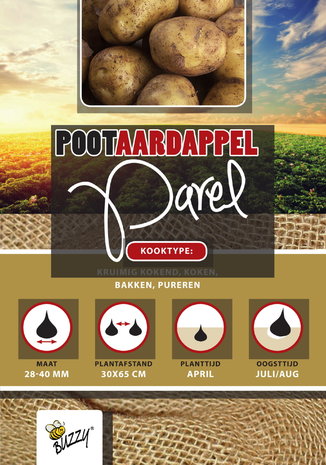 Pootaardappels kopen, Parel aardappel (1 kg) | Moestuinland