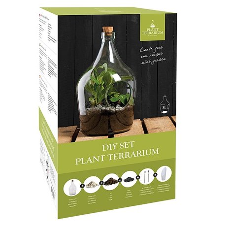 Open plant terrarium kopen 3 liter vaas glas diy set planten | Moestuinland