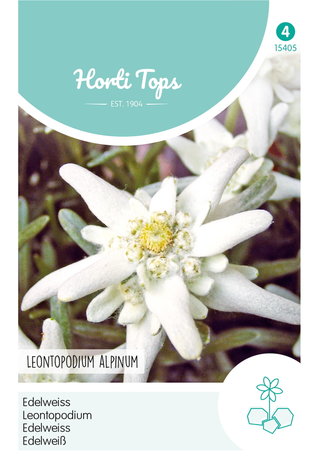 Gelijkwaardig Beroemdheid spreker Edelweiss zaden, Leontopodium alpinum | Moestuinland