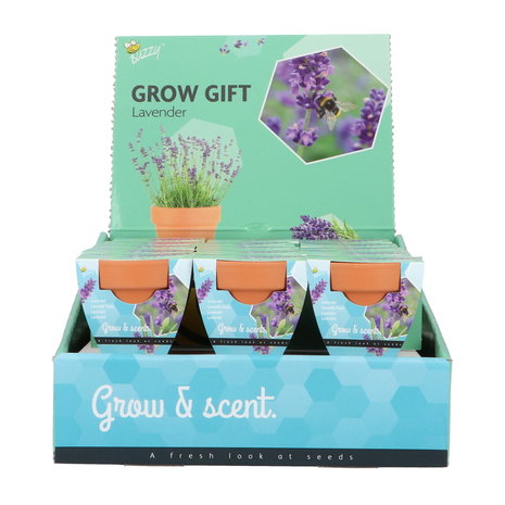 Lavendel Grow Gift weggevertje give-away | Moestuinland