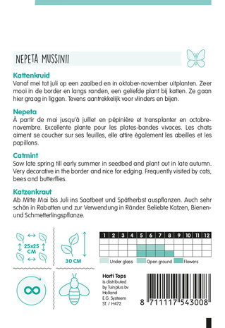 Beschrijving hoe te zaaien Nepeta Kattenkruid | Moestuinland