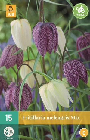 Fritillaria Kievitsbloem bloembollen kopen, Najaar bloembollen | Moestuinland