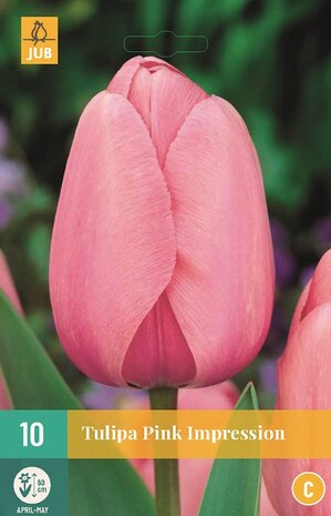 Tulp bloembollen kopen, Pink impression (Najaar) | Moestuinland