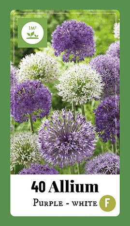 Allium bloembollen, Paars-Wit Mix (40 stuks)