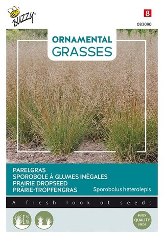 Parelgras zaden kopen, Sporobolus heterolepis | Moestuinland