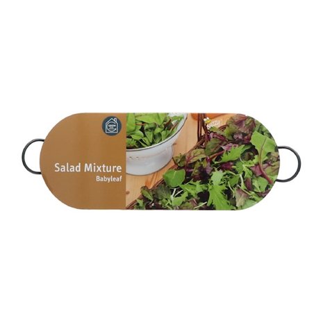 Zinken teiltje kopen salademengsel zaaiset bovenkant | moestuinland