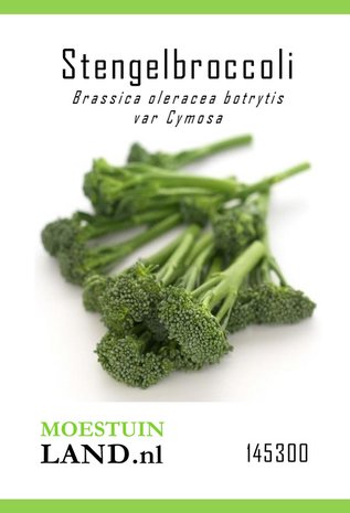 Stengelbrocolli zaden kopen, Aspergebroccoli Bimi Broccolini Creamy Broccy F1 | Moestuinland