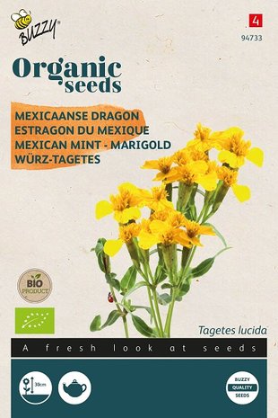 Dragonafrikaantjes zaden kopen biologisch, Tagetes Dragon Afrikaanse | Moestuinland