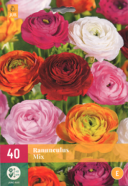 Ranonkel bloembollen kopen, mix gemengd ranunculus bloemen klauwen | Moestuinland