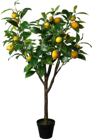 Kunst citroenboom kopen, kunstplanten | Moestuinland