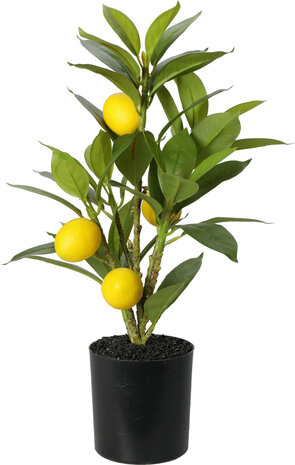 Kunst citroenboompje kopen, plant in pot (40 centimeter)