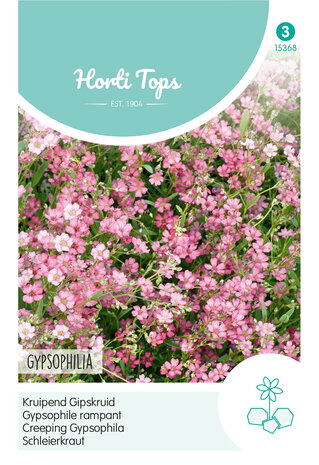 Roze gipskruid zaden kopen, Gypsophilia repens (roze) | Moestuinland
