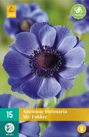 Anemone Anemoon bloembollen kopen, Mr. Fokker blauw | Moestuinland