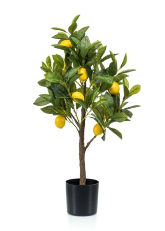 Kunstplant citroen plantje 70cm | Moestuinland