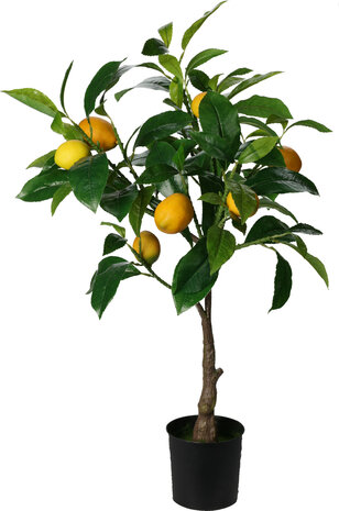 Kunstplant citroen bestellen | Moestuinland