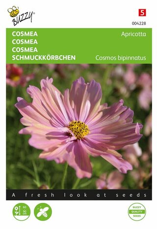 Cosmea zaden kopen, Cosmos Apricotta | Moestuinland