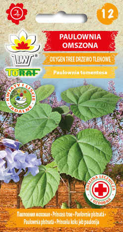 Paulownia zaden, Anna Paulownaboom (Droomboom) | Moestuinland