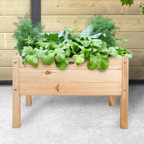 Kweektafel kinderen, Kinderkweektafel | Moestuinland