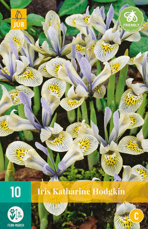 Iris bloembollen kopen, Katharine Hodgkin (10 bloembollen) | Moestuinland