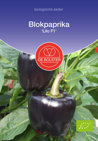 Paprika zaden kopen, Lilo F1 (BIO) Donkerpaars/zwart blokpaprika | Moestuinland