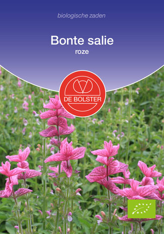 Roze Bonte salie zaden kopen, Salvia viridis (BIO) | Moestuinland