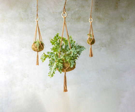 Makrame hanger planten touw | Moestuinland