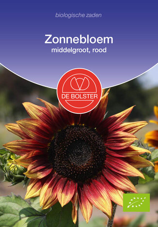 Rode zonnebloem zaden kopen, Biologische middelgrote rode (BIO) | Moestuinland