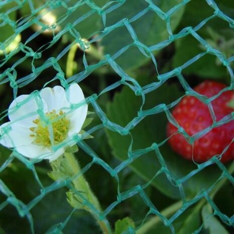 Sfeerimpressie net voor in de tuin fijngazig (2x5meter) | Moestuinland