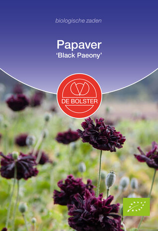 Papaver zaden, Black Paeony (BIO) | Moestuinland