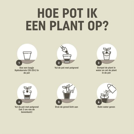 Gebruiksaanwijzing voor het gebruik van de kamerplanten potgrond (10 liter) | Moestuinland.nl