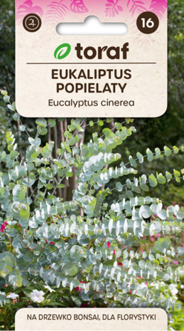 Eucalyptus zaad bestellen, Cinera | Moestuinland.nl