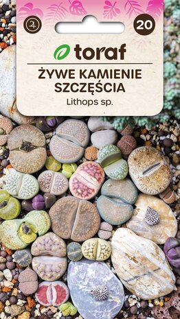 Lithops zaad bestellen, Levende Steentjes | Moestuinland.nl
