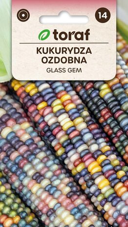 Gekleurde maiskolven kweken uit zaad, Glass Gem mais | Moestuinland.nl