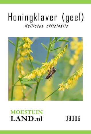 Gele Honingklaver zaden bestellen, Melilotus officinalis (Yellow Sweet Clover) | Moestuinland.nl